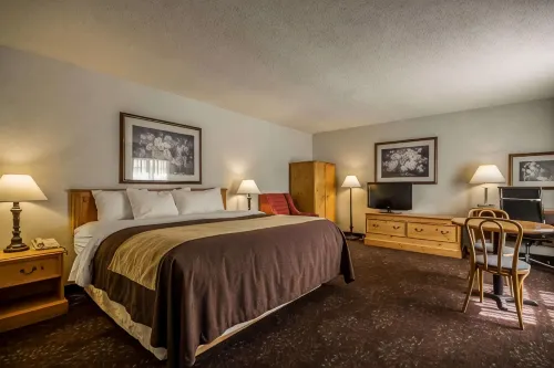 Comfort Inn - 2-Star