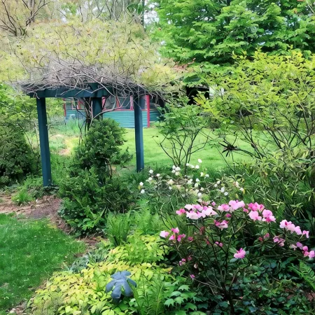 Lakeside Grove Cottage -  Perfect Lakeside Village/Beach Location
