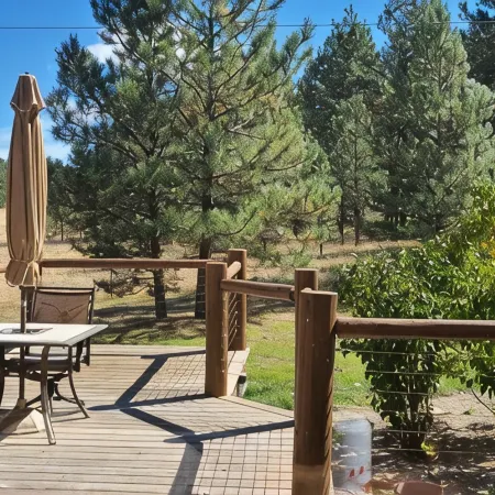 Spacious cabin in Angel Fire area - 6 miles to ski slopes and recreation area