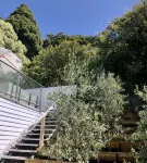 Outstanding! White House Tasmania Winter Special Min Stay 2 Nights Till October. - Homestays
