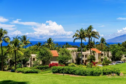 1206 The Palms-Wailea. Owner Direct. Car available.  The reviews say it all - Private Pools