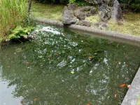 Angel Forest Okawa Shiomisaki - Pet friendly