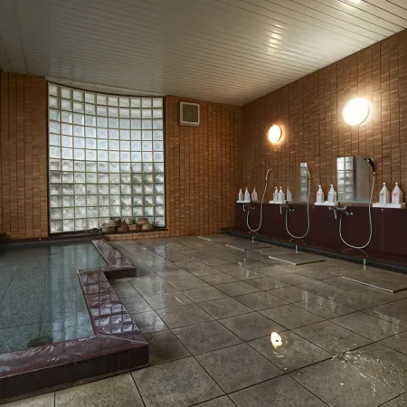 Hamasaka Onsen Totoya