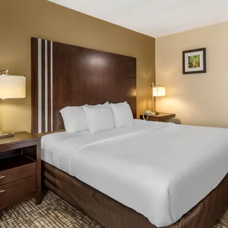 Comfort Inn Paducah I-24