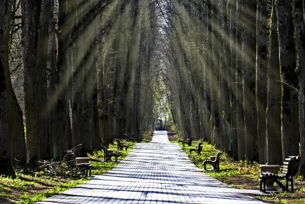 casasunshine Guesthouse