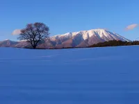 Pension Sanzoku Hotels in Iwate District