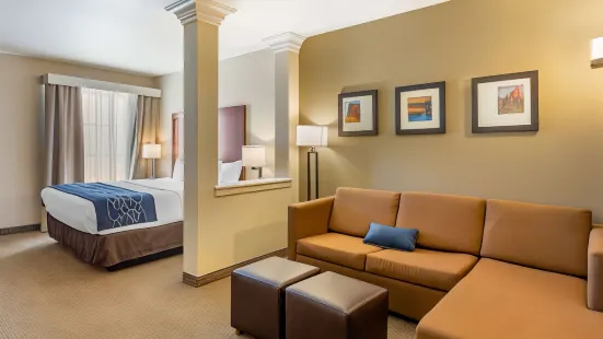 Comfort Suites Near Denver Downtown