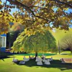 The Source, Otways Hotels in Forrest