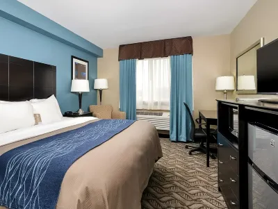 Comfort Inn & Suites Springfield I-55