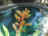 Cabaña Los Termales