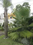 Auto Hotel Mediterráneo Hotels in Tlalnelhuayocan