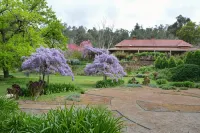 Ford House Bed & Breakfast Hotels in Bridgetown