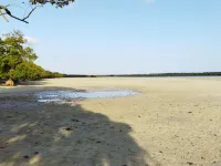Mida Creek Eco Camp - Eco Lodge Hotel di Malindi