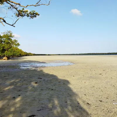 Mida Creek Eco Camp - Eco Lodge Hotels near Malindi