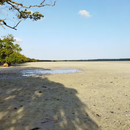 Mida Creek Eco Camp - Eco Lodge