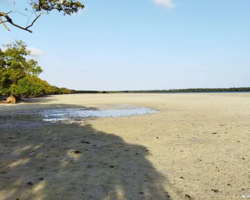 Mida Creek Eco Camp - Eco Lodge Hotel di Malindi