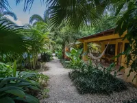 Zula Inn Aparthotel Hotels in Carmen