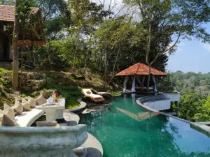 Earthitects Holiday Experiences,Wayanad