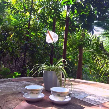 Malunggay Apartments