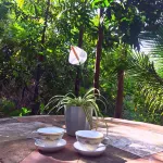 Malunggay Apartments