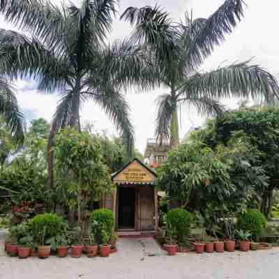 Eden Jungle Resort Hotel Exterior