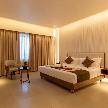 Hotel M Pro Palace Mysore - 12 Minutes to Mysore Palace