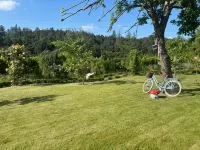Warlands Farm Guest House Hotels in Stanley