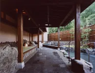 Aridagawa Onsen Hotel Sunshine - Spa