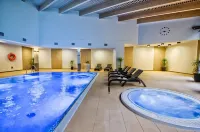 Hotel Zimnik Luksus Natury Spa & Wellness - bar