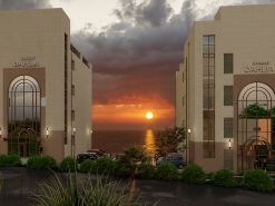 Hampyeong Stone Delia