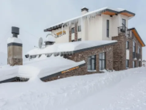 ホテルツィガ グダウリのホテル