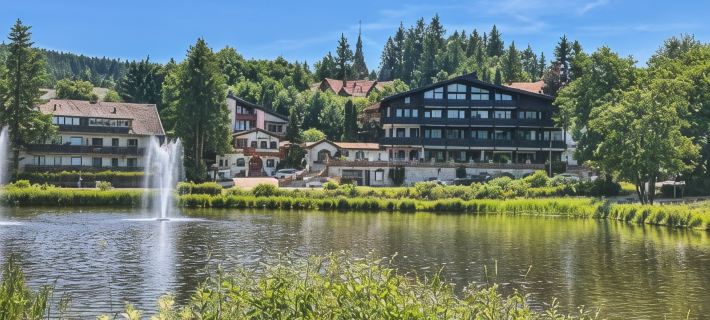 Hotels am Kranichsee Hotels in Goslar