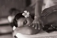 Smart Cancun The Urban Oasis - Spa