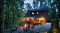 Lakeside Cabin: Private Dock - Canoe & Kayaks - HotTub -PetFriendly -Arcade Game