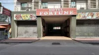 Hotel Fortune