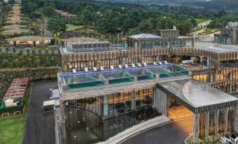 Amber Pure Hill Hotels & Resorts Jeju