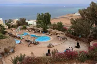 The Bedouin Moon - Bãi biển