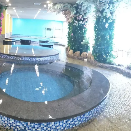 Fengshu Hot Spring Hotel