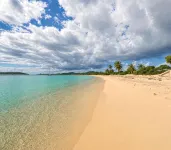 Luxury Beach Front Unit at Doradas, Palmas 301. Steps to Sand and Hotel Wyndham! - Boutique