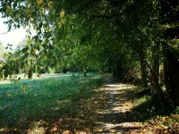 Green Box - be in Nature w/ Train to Porto Hotels in Valongo