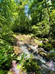 Quintaesencia: Art and Nature - 民宿