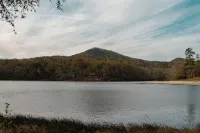 Hidden Honey Hole Cabin: 4 BEDROOM, POOLS, TENNIS/PICKLEBALL, HIKING, LAKE AREA