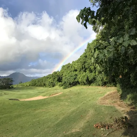 Aloha! The North Shore of Kauai awaits in this amazing, centrally located Condo!