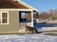 Papa Bear Cottage (Downtown Cody) - 3-نجوم