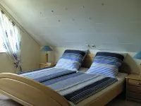 Comfort - Apartment - Apartments