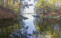 1-bedroom cabin near Huron-Manistee National Forest