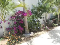 Modern Oasis On Tropical - 公寓