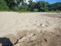 Zero minutes to the most prestigous cove in the area - ビーチサイド