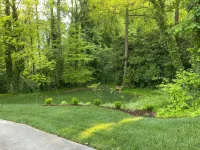 Beautifully remodeled 3BR Home in Raleigh's North Hills Dining &Shopping area - อ่างจากุชชี่