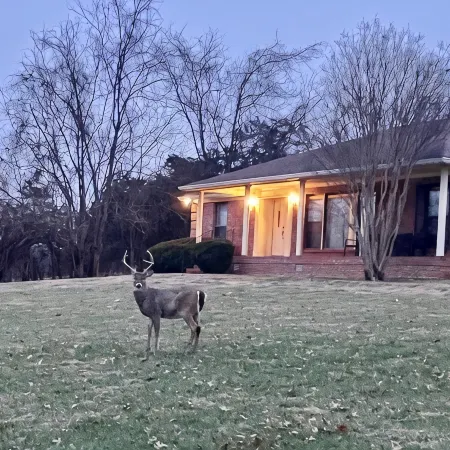 Hendersonville, TN, The Peaceful Retreat,Ping Pong & Pool Tables